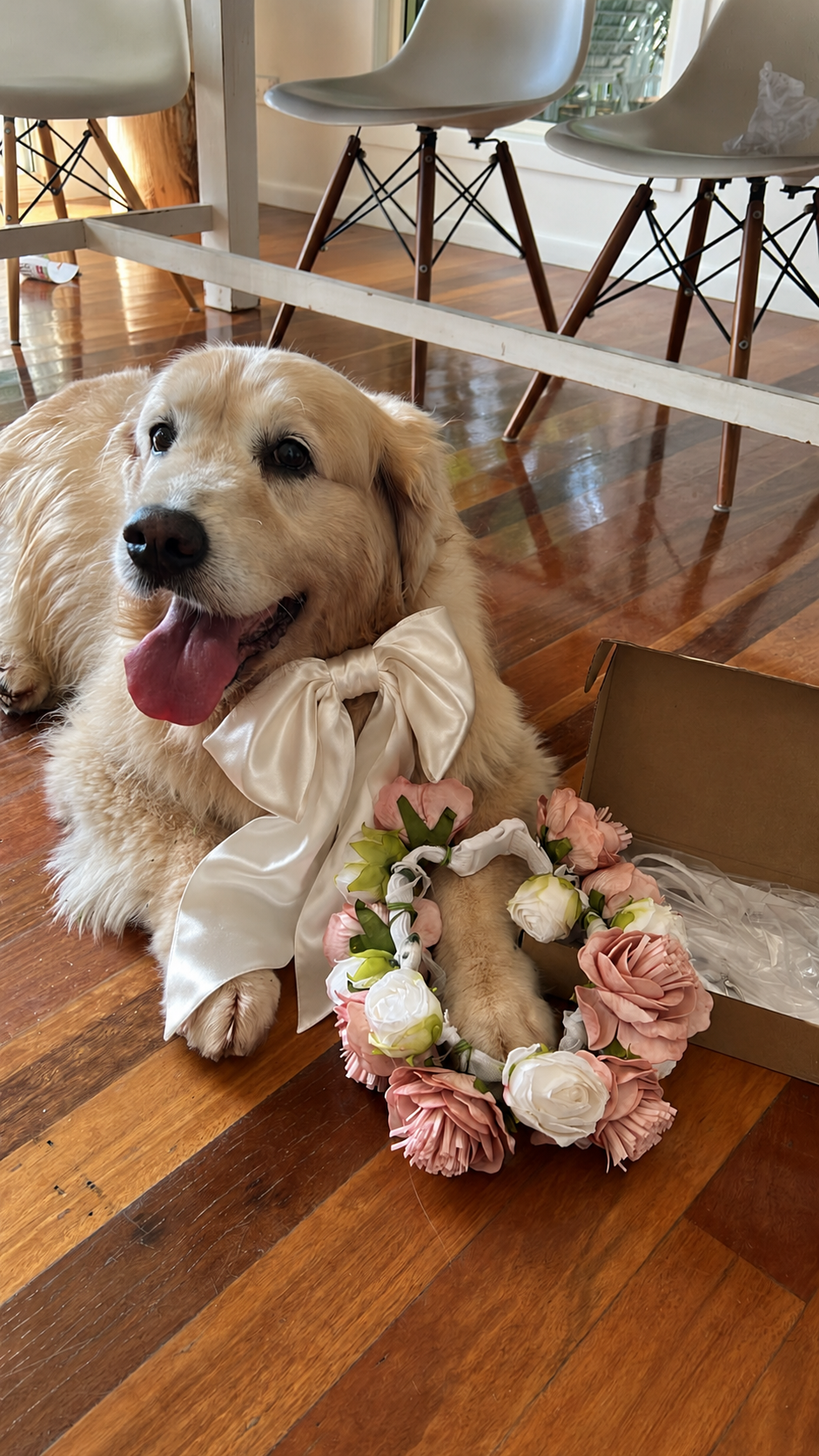 Off-White Satin Collar Bow