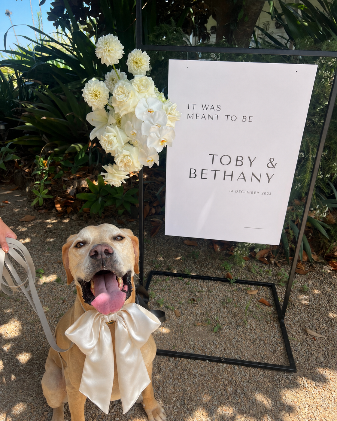 Off-White Satin Collar Bow