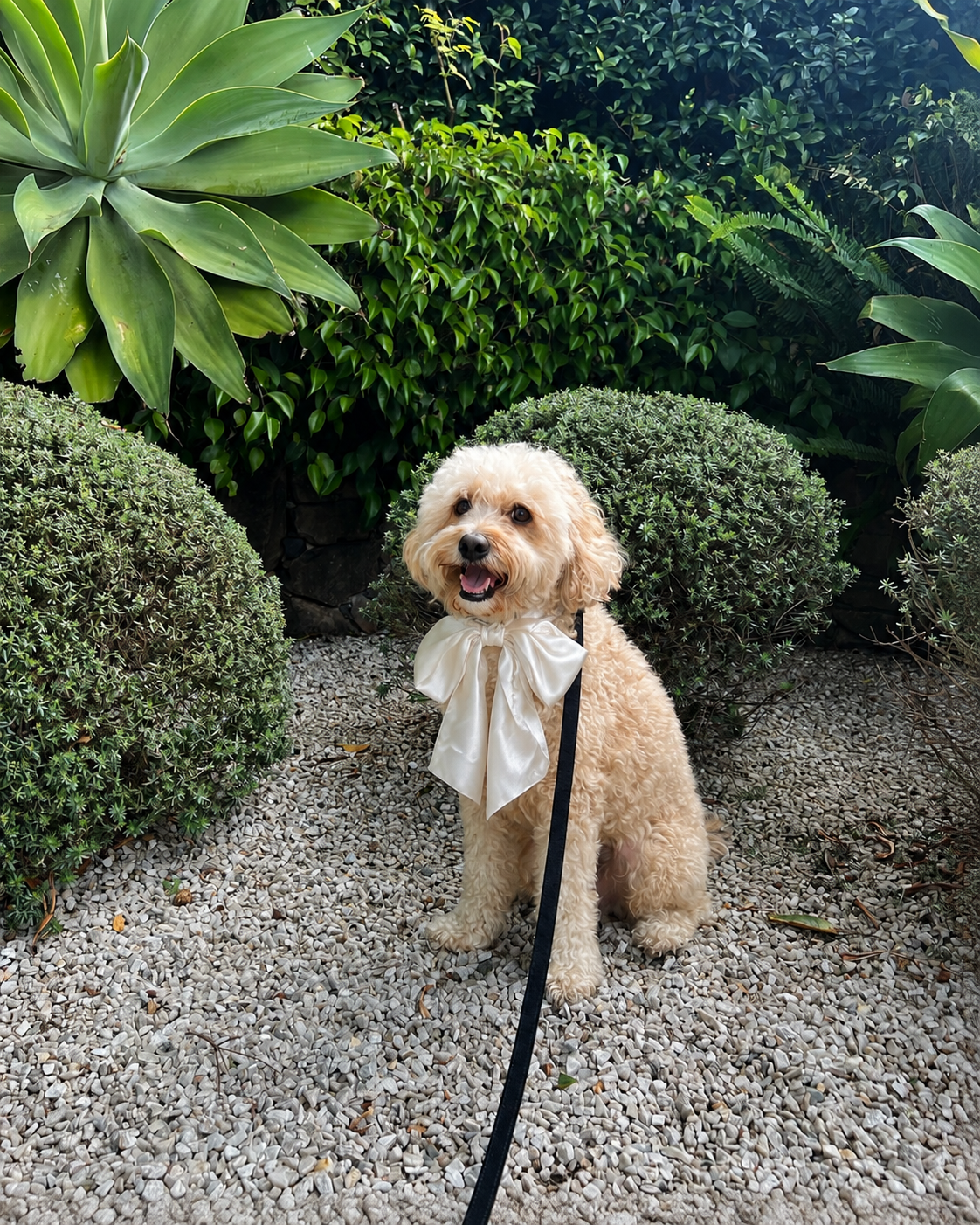 Off-White Satin Collar Bow