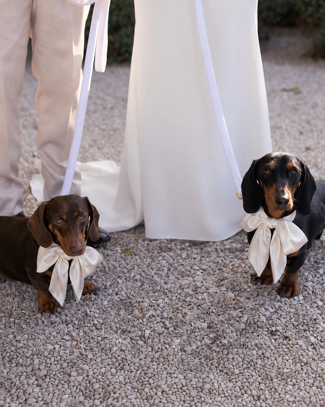Off-White Satin Collar Bow