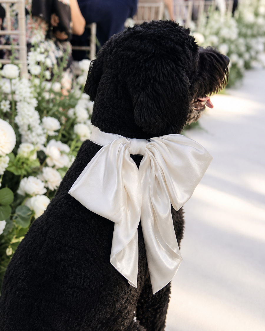 Off-White Satin Collar Bow