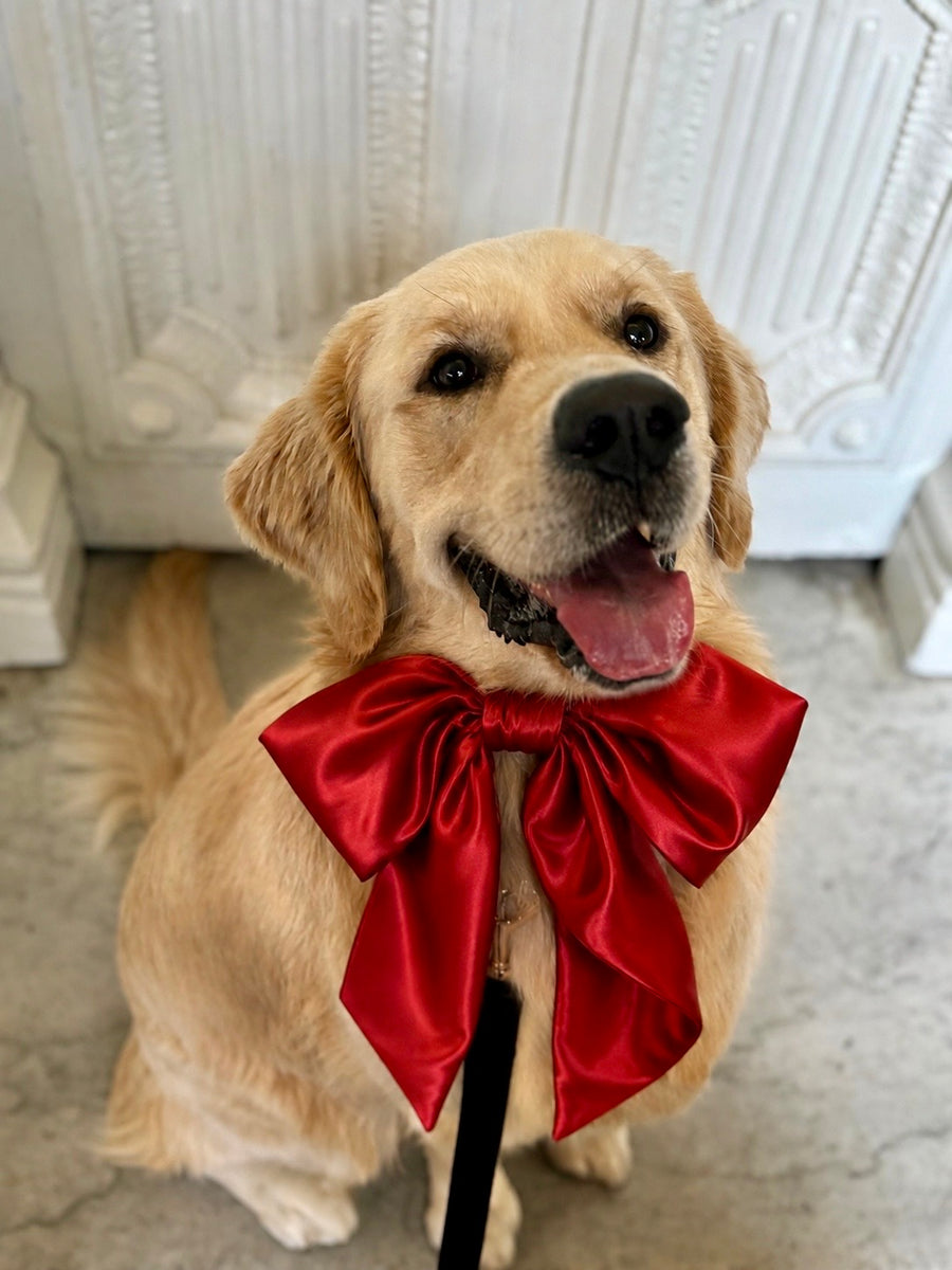 Custom Colour Satin Collar Bow