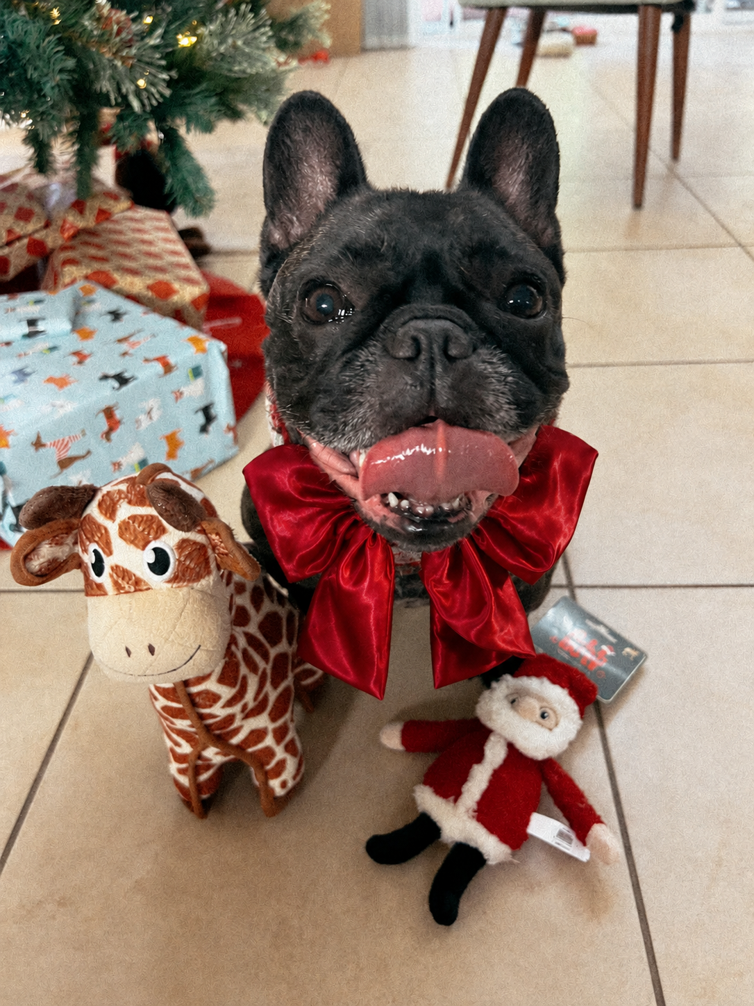 Christmas Dog Bow – Luxe Red Satin